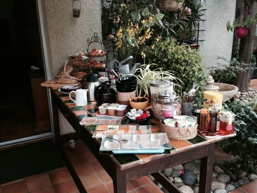 Le Jardin De La Cite Bed & Breakfast Carcassonne Exterior photo